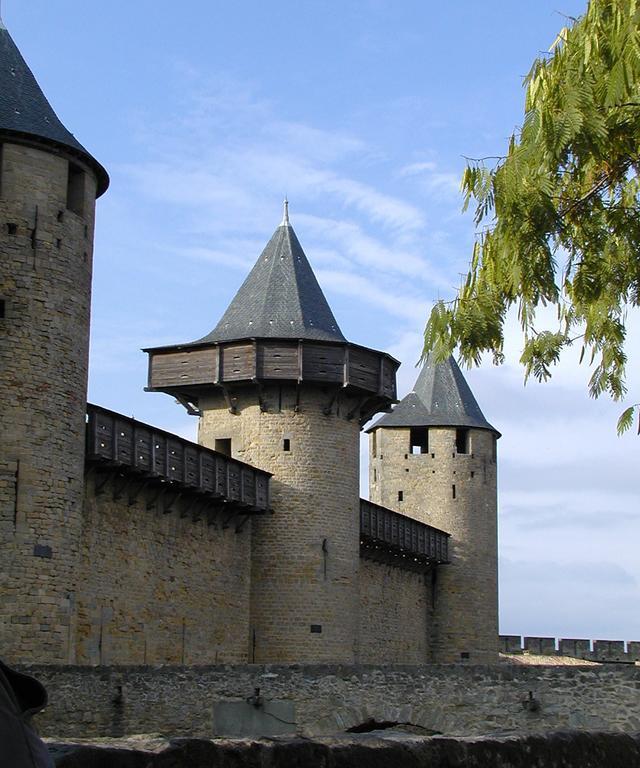 Apartments Les 5 Lys - Quartier La Bastide Carcassonne Esterno foto